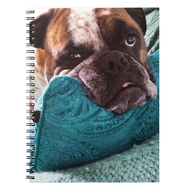 Cuaderno Bulldog victoriano Foto 9x6 portátil (Frente)