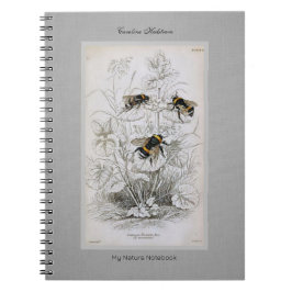 Cuaderno Bumble Bee Botanic on Linen