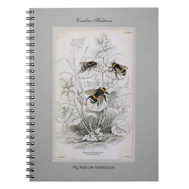 Cuaderno Bumble Bee Botanic on Linen (Frente)