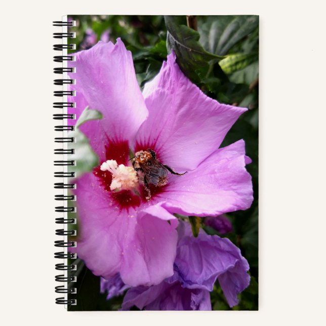 Cuaderno Bumblebee en la flor de Hibiscus (Anverso)