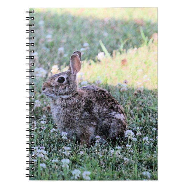 Cuaderno Bunny (Frente)