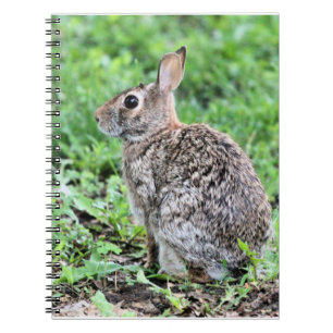 Cuaderno Bunny