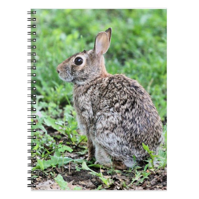 Cuaderno Bunny (Frente)