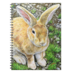 Cuaderno Bunny Pastel
