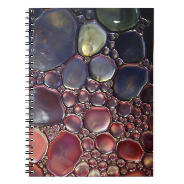 Cuaderno Burbuja (Frente)