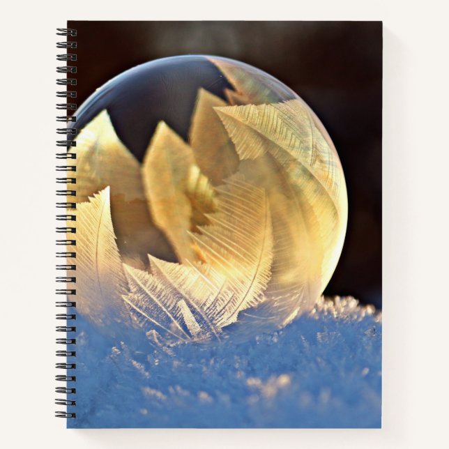 Cuaderno Burbuja de jabón en nieve (Anverso)