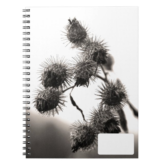 Cuaderno Burdock seco (Frente)