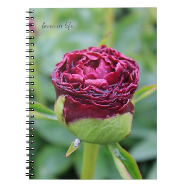 Cuaderno Burgundy Peony Bud (Frente)