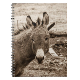 Cuaderno Burro