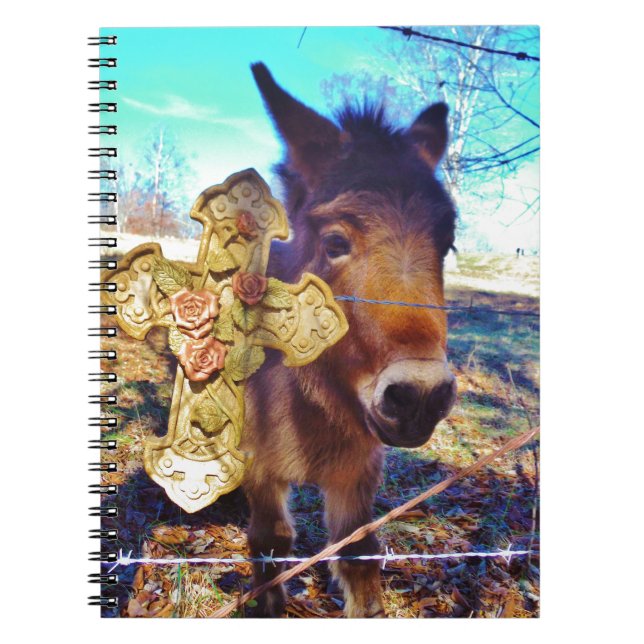 Cuaderno Burro con cruz Rosa (Frente)