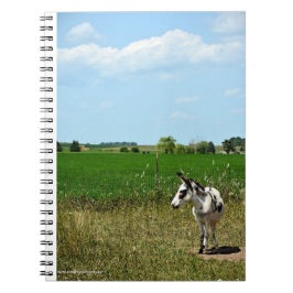 Cuaderno Burro en un campo