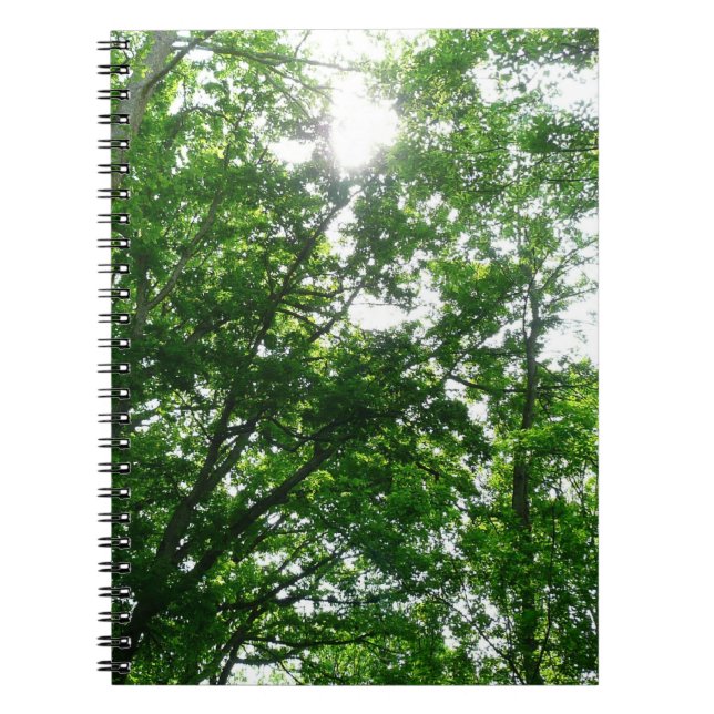 Cuaderno Buscando árboles de verano (Frente)