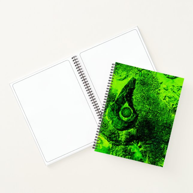 Cuaderno buscando un bloc de notas verde (Interior)