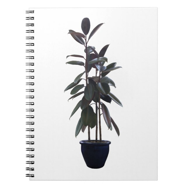 Cuaderno Buscar la correspondencia perfecta: los mejores di (Frente)