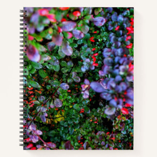 Cuaderno Bush intrincado