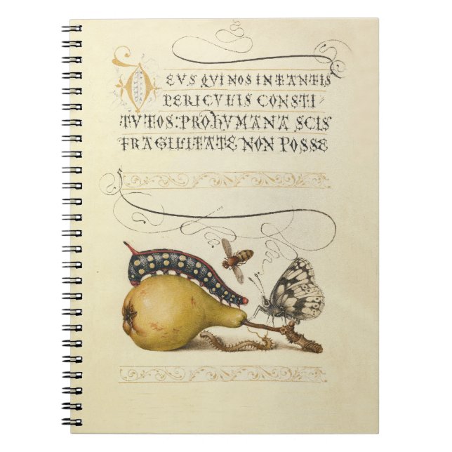 Cuaderno Butterfly Bee Fruit Insect Illustration (Frente)
