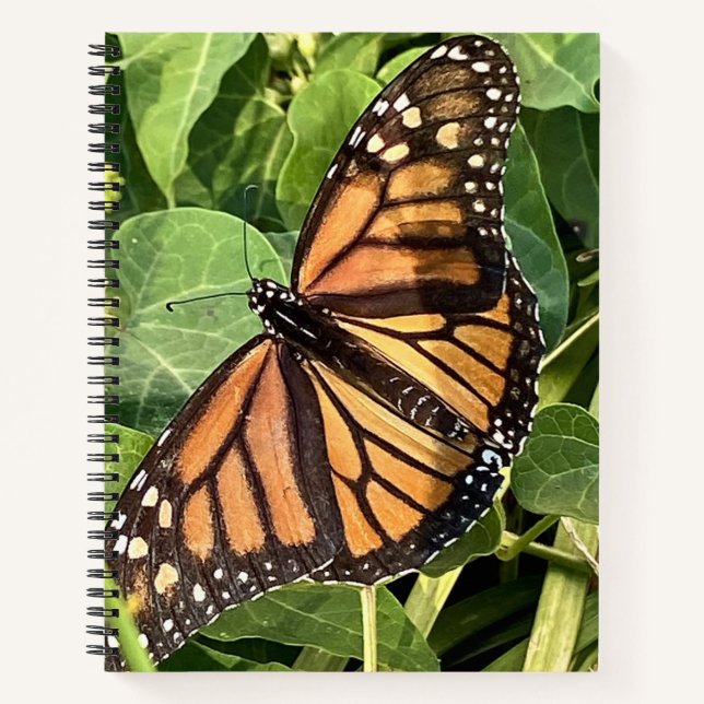 Cuaderno Butterfly Notebook (Anverso)