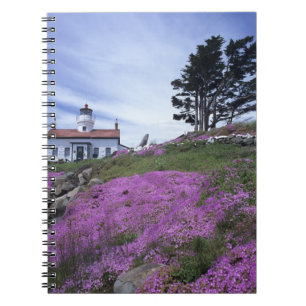 Cuaderno CA, Crescent City, faro de Battery Point con
