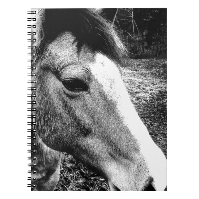 Cuaderno Caballo (Frente)