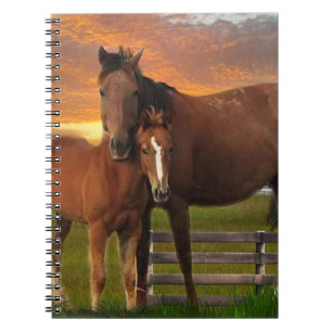 Cuaderno Caballo