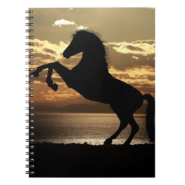 Cuaderno caballo (Frente)