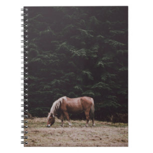 CUADERNO CABALLO A LA SOMBRA DE LOS CONFIADORES