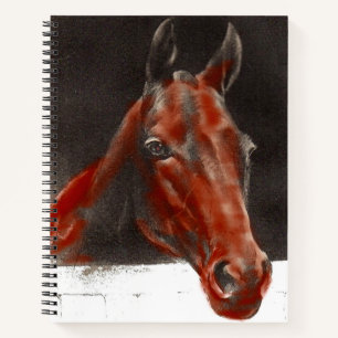 Cuaderno caballo amistoso