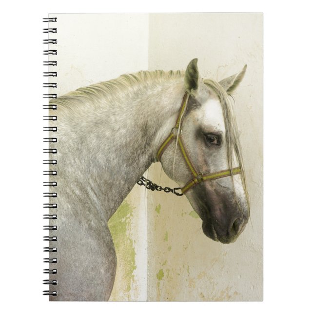 Cuaderno Caballo andaluz gris de manzana (Frente)