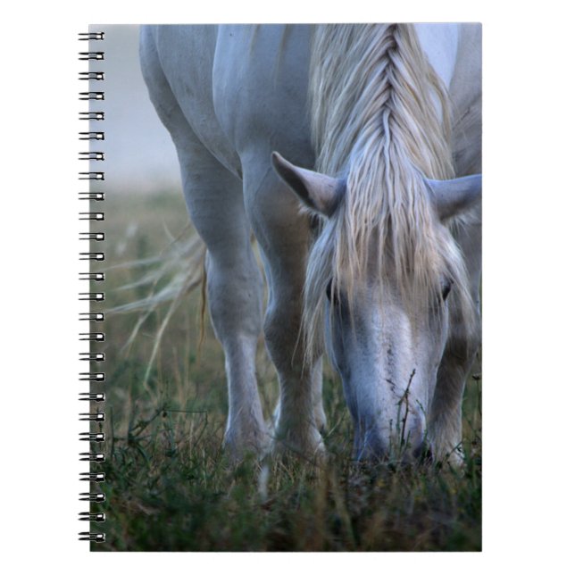 Cuaderno Caballo blanco (Frente)