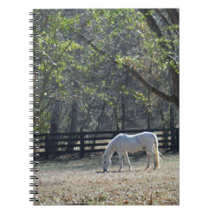 Cuaderno Caballo blanco en los árboles