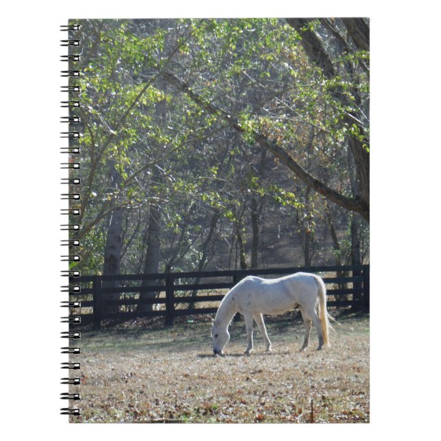 Cuaderno Caballo blanco en los árboles (Frente)