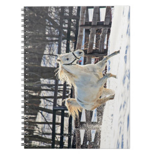 Cuaderno Caballo blanco galopante