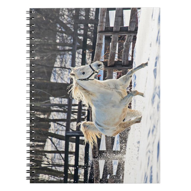 Cuaderno Caballo blanco galopante (Frente)