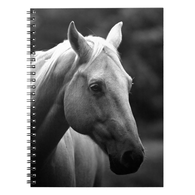 Cuaderno Caballo Blanco Negro (Frente)