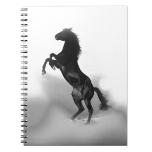 Cuaderno Caballo blanco negro