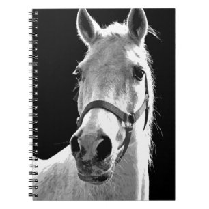 Cuaderno Caballo blanco negro primer plano en la noche