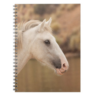 Cuaderno Caballo blanco y salvaje