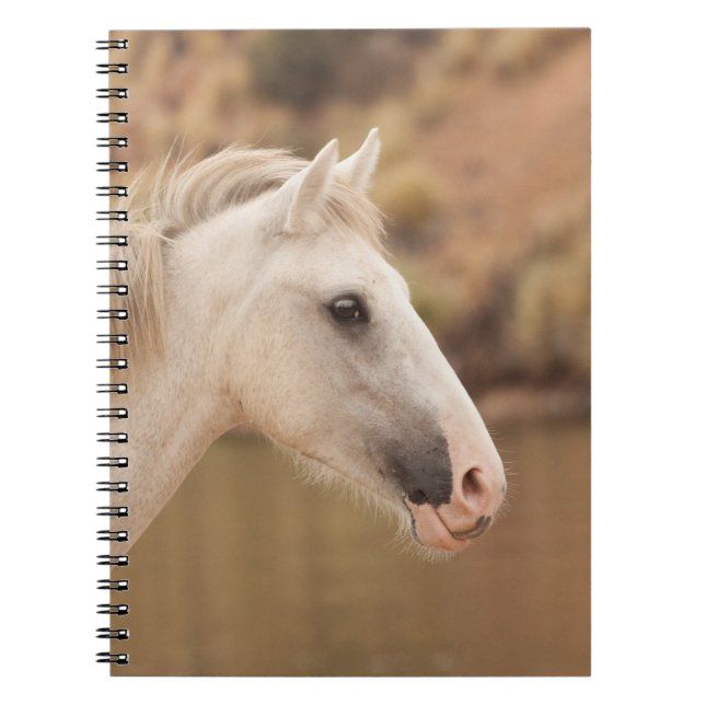 Cuaderno Caballo blanco y salvaje (Frente)