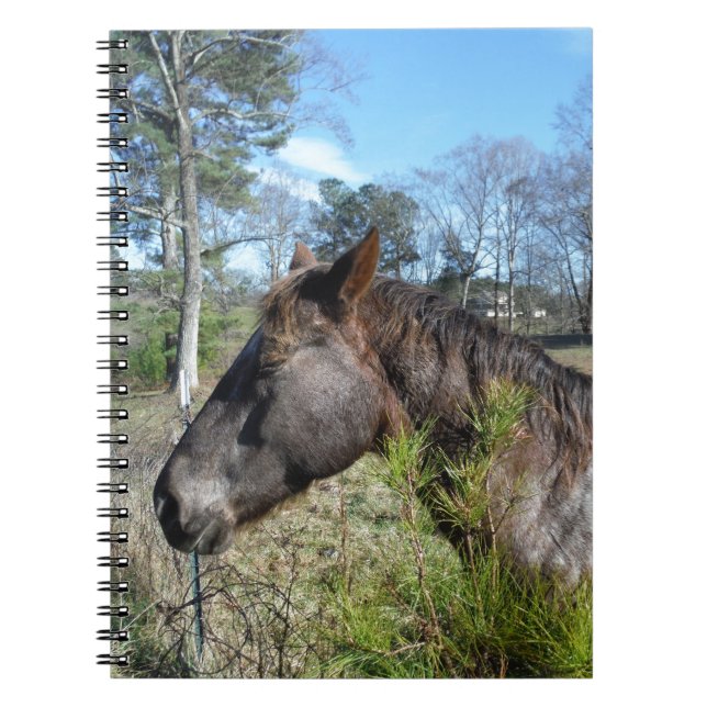 Cuaderno Caballo color Coco y Crema (Frente)