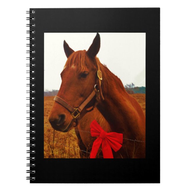Cuaderno Caballo con arco rojo (Frente)