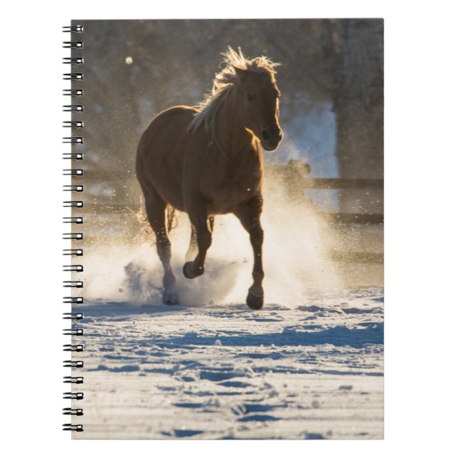 Cuaderno Caballo corriendo por la nieve (Frente)