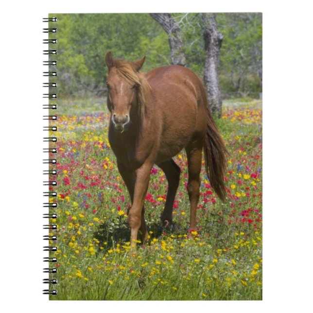 Cuaderno Caballo Cuarto de Milla en Campo de Flores Silvest (Frente)