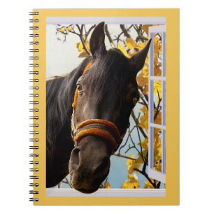 Cuaderno Caballo Curioso Mirando Por La Ventana De La Cocin