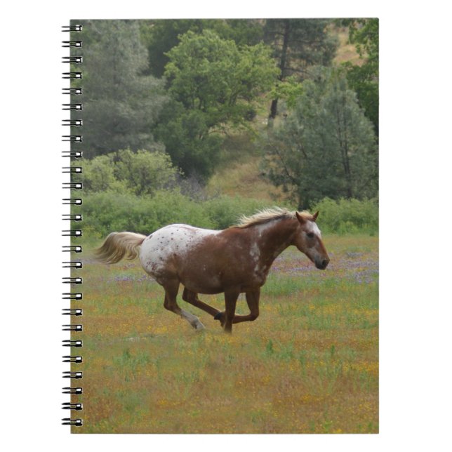 Cuaderno Caballo de Appaloosa (Frente)