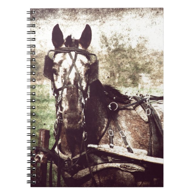 Cuaderno Caballo de Appaloosa (Frente)