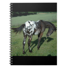 Cuaderno Caballo de Appaloosa