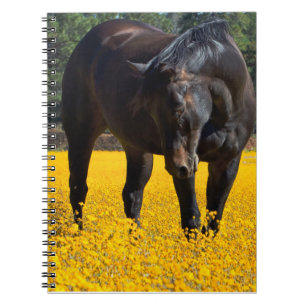 Cuaderno Caballo de Bahía en un campo de flores amarillas