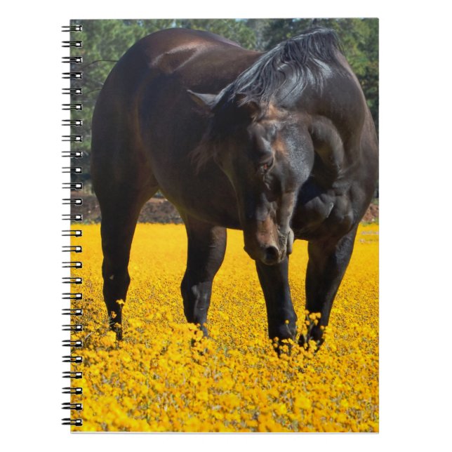 Cuaderno Caballo de Bahía en un campo de flores amarillas (Frente)