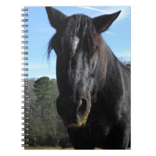 Cuaderno Caballo de Borrador Negro rescatado