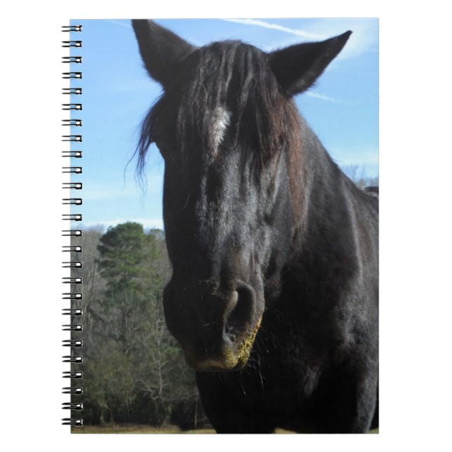 Cuaderno Caballo de Borrador Negro rescatado (Frente)